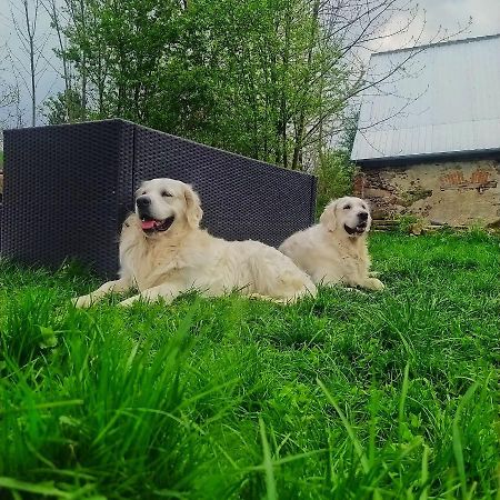 Polny Zakatek - Pokoje Goscinne Rybnica Dış mekan fotoğraf