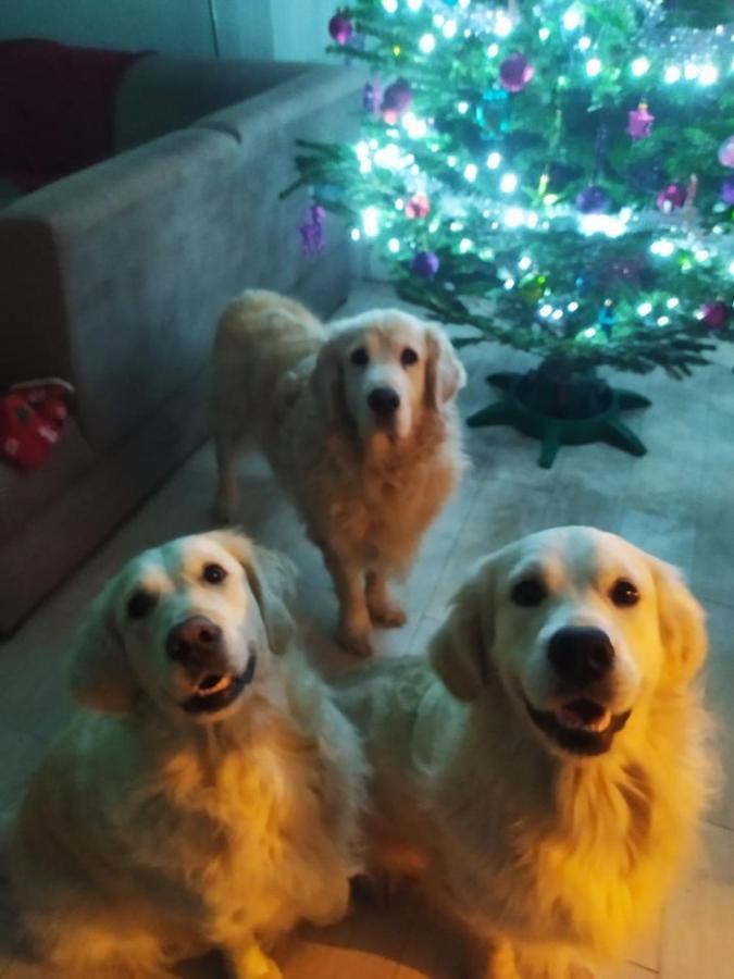 Polny Zakatek - Pokoje Goscinne Rybnica Dış mekan fotoğraf