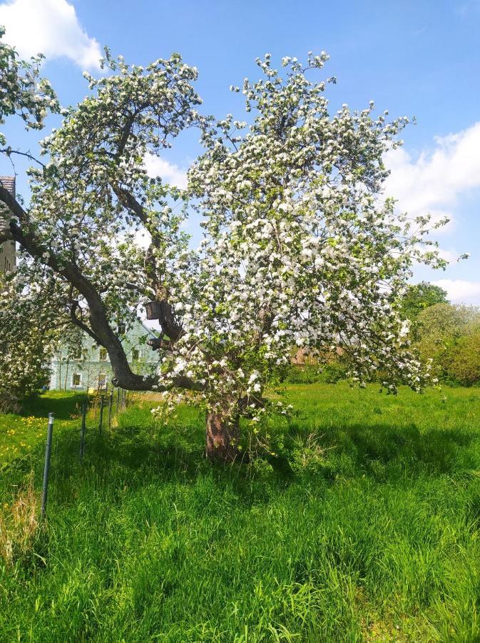 Polny Zakatek - Pokoje Goscinne Rybnica Dış mekan fotoğraf